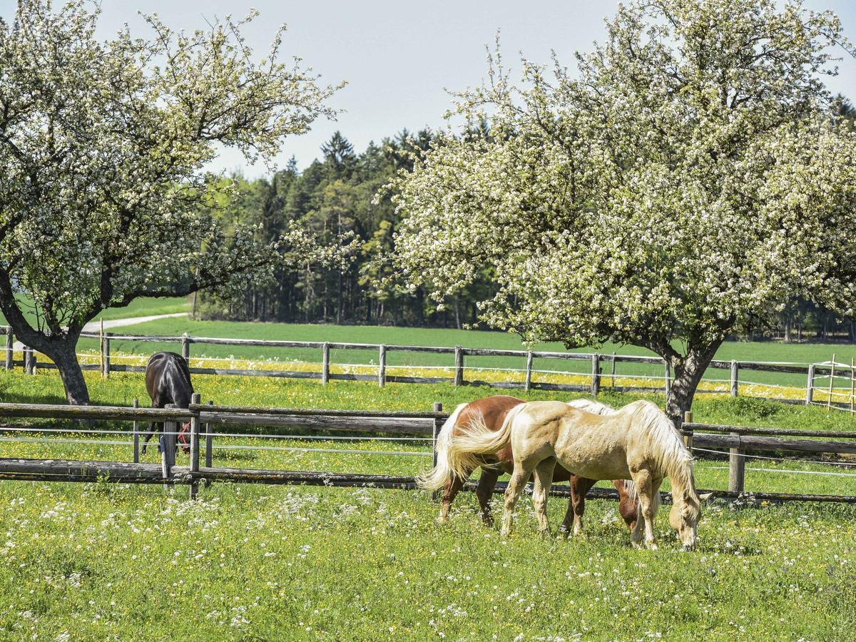 Ferienwohnung Im Weiler Winterlingen Buitenkant foto